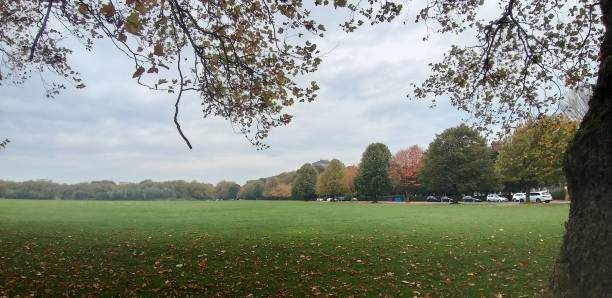 istock Landscape with autumn colours 1281456720