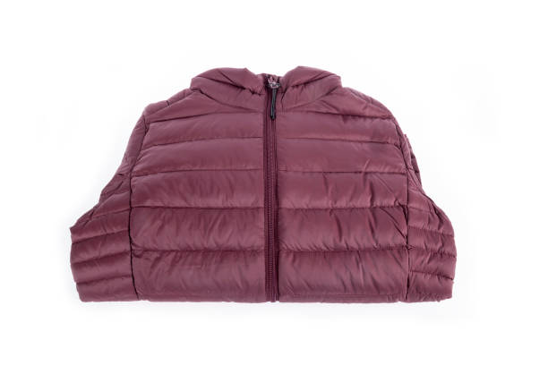 istock Women's Dawn Filled Winter Short Coat Jacket with a Hood 1281457981