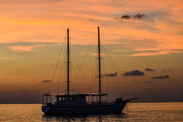 Beautiful sunset by the sea