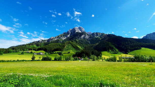 Beautiful mountain landscape in Johnsbach Austria stock images Green fresh meadow and mountains in Austria stock images. Lush green grass mountain landscape stock photo czech republic mountains stock pictures, royalty-free photos & images