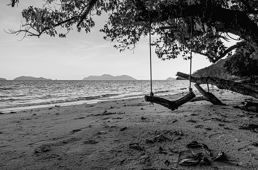 The wooden swing hangs with the trees on the beach by the ocean. The coast is quiet with sunlight shines on water with monochrome tone. Feeling fresh and calm.