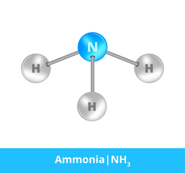 Vector ball-and-stick model of chemical substance. Icon of ammonia molecule NH3 consisting of nitrogen and hydrogen. Structural formula suitable for education isolated on a white background. Illustration of the organic formula of ammonia or sal ammoniac, colorless, and pungent gas element. Toxic and dangerous substance. Icon of NH3 whose molecule consists of three atoms of hydrogen and one atom of nitrogen. The molecule is suitable for education or science and is isolated on a white background. nitrogen icon stock illustrations