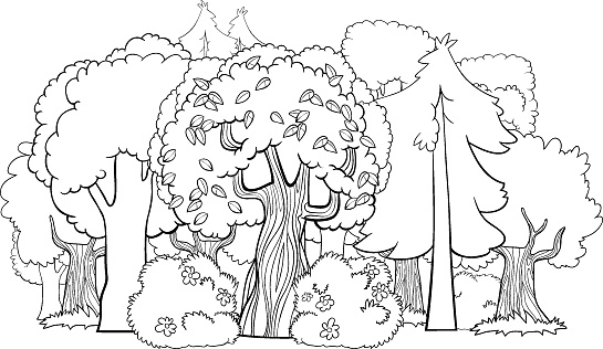 Black and White Cartoon Illustration of mixed Forest with Deciduous and Coniferous Trees Coloring Book Page