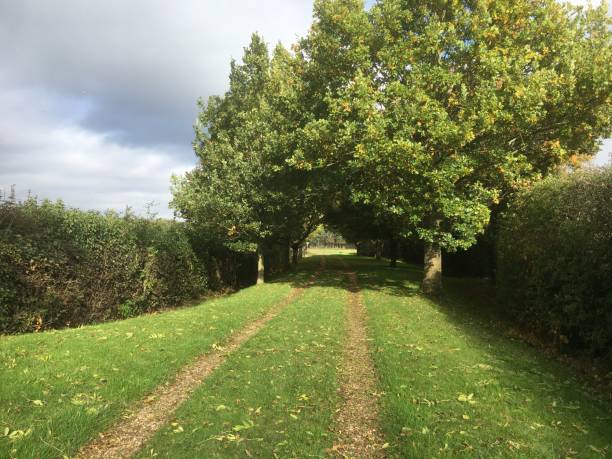 istock Walk round Saint Cross, South Elmham, Suffolk 1281466192