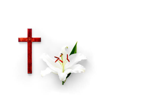istock Condolence card with white flowers lily, from above 1281466288