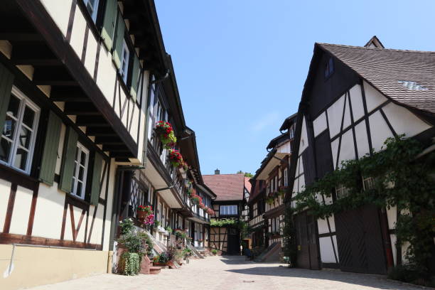 istock Germany historic city 1281466576
