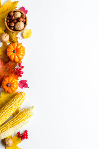 istock Autumn top view background with pumpkins corn and nuts 1281467916
