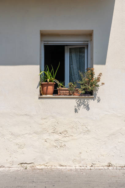 Window with flower pots on white wall in Kos island, Greece
