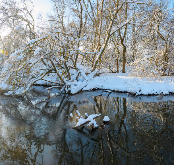 istock Frosty scene with flowing forest river on a sunny morning. 1281470932