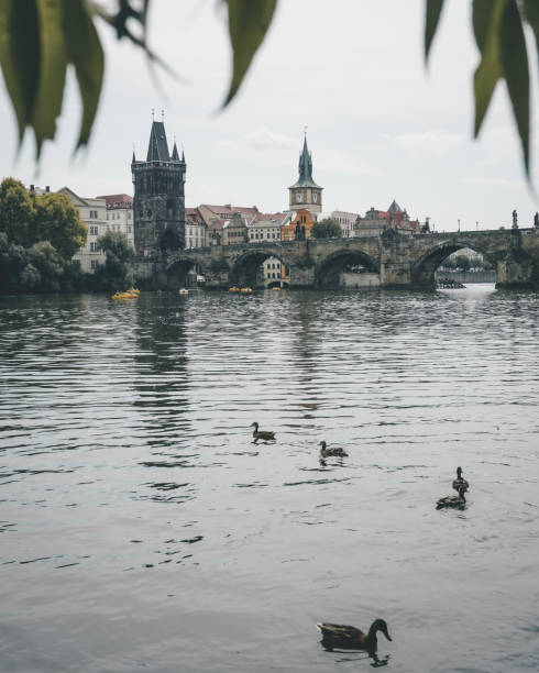 istock Old town of Prague from the riverside 1281472216