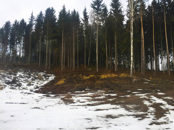 czechy - czech republic ski winter skiing zdjęcia i obrazy z banku zdjęć