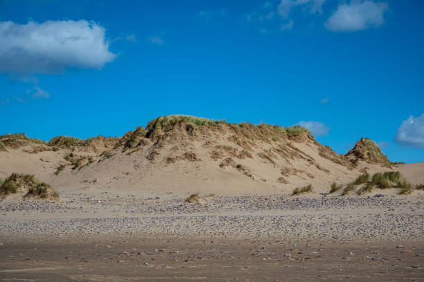 istock Sand dunes in late summer 1281473523