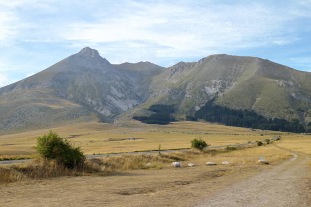 vista panoramica di campo imperatore, ai piedi del gran sasso in italia - apennines beauty in nature grass plateau foto e immagini stock