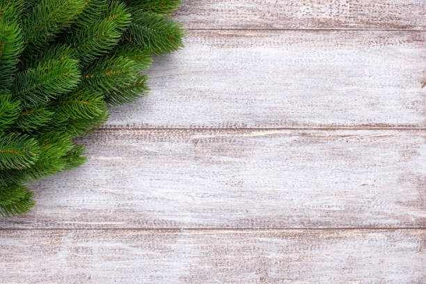 istock Mock up of Christmas tree branches with space for text 1281473773