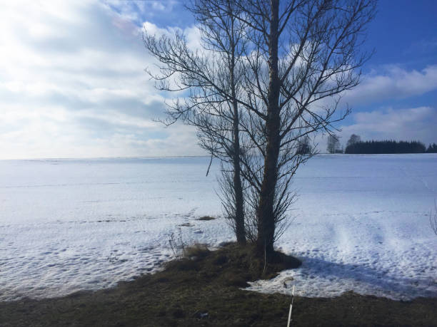 zimowy krajobraz w czechach - czech republic ski winter skiing zdjęcia i obrazy z banku zdjęć