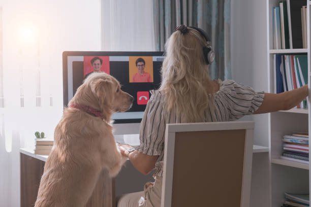 istock Teacher with her dog together making video conferences with students. 1281474323