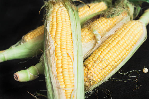 istock Cobs of ripe corn lie on black background 1281477205
