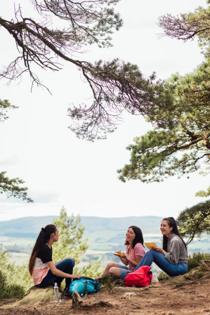 istock Family having a Picnic 1281478637