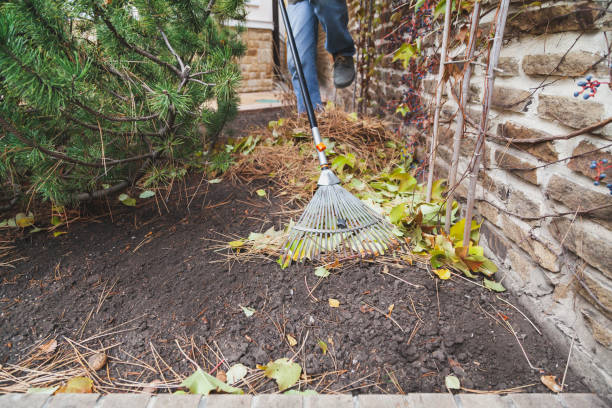 istock Gardener collects fallen leaves by long rake 1281478858