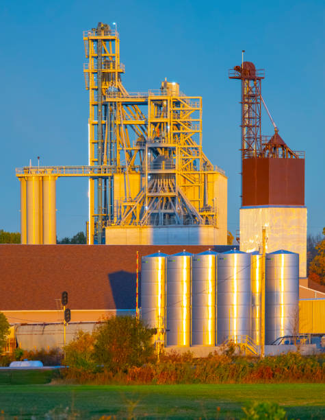 istock Agricultural grain elevator glistening in the cold Autumn air. 1281479910