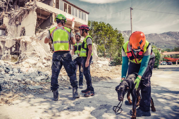 istock Rescuer search with help of rescue dog 1281489254