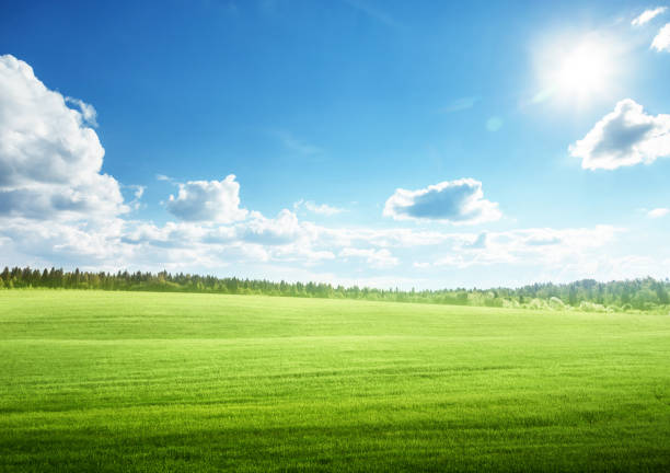 istock field of grass and perfect blue sky 1281489363