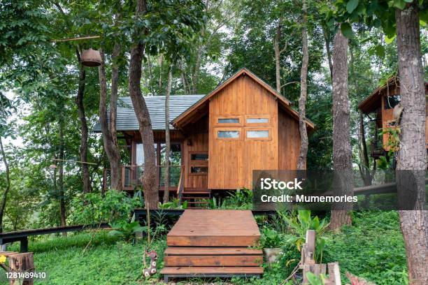 Architecture Wooden House In Rainfoest Stock Photo - Download Image Now - Log Cabin, Hotel, Woodland