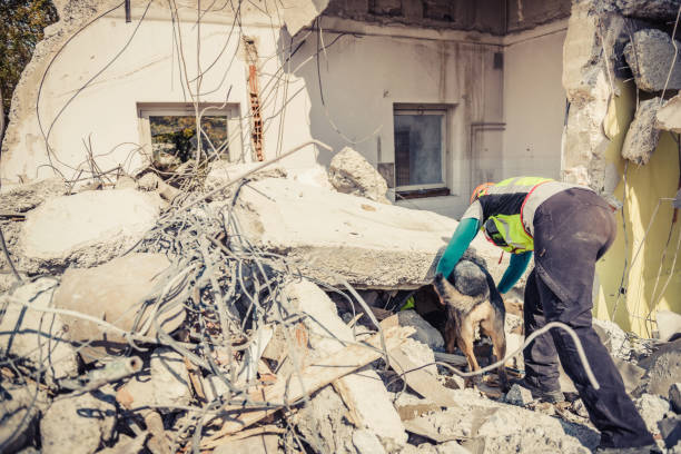 istock Rescuer search with help of rescue dog 1281489596