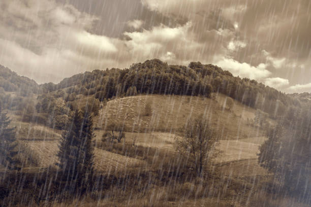 istock A rainy day on Kopaonik mountain, Serbia 1281489779