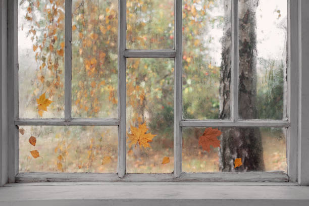 istock white old wooden window with rain drops and autumn leaves 1281489931