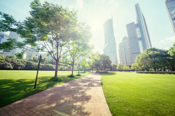 istock Green Space, Lujiazui Central, Shanghai, China 1281491229