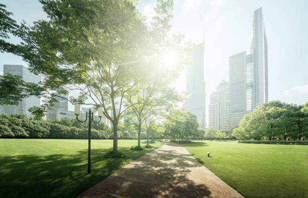 istock Green Space, Lujiazui Central, Shanghai, China 1281491231