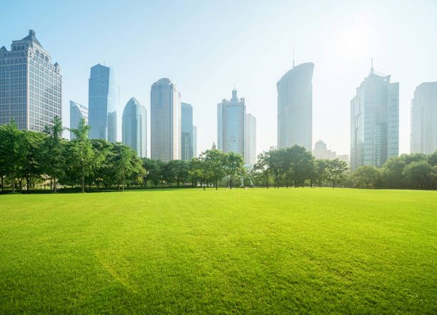 istock park in lujiazui financial centre, Shanghai, China 1281491236