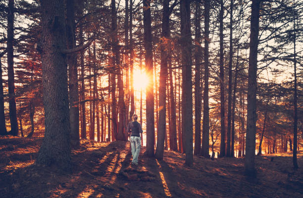 istock Woman walking in the forest 1281492895