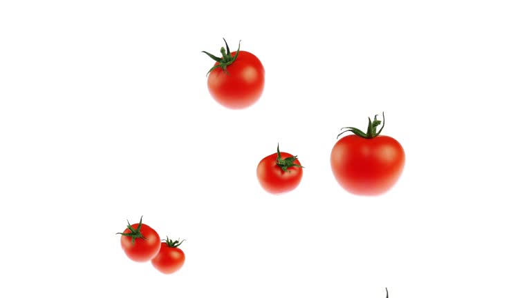 Slow motion Tomato flying up on white background