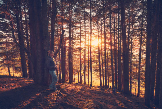 istock Woman walking in the autumn forest 1281493510
