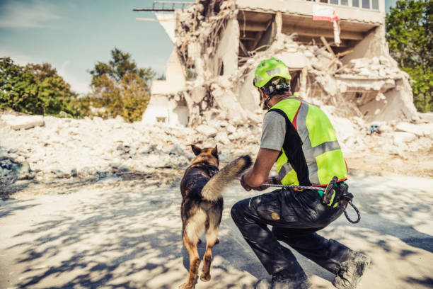 Rescuer search with help of rescue dog Rescuer search trough ruins of building with help of rescue dog search and rescue dog photos stock pictures, royalty-free photos & images