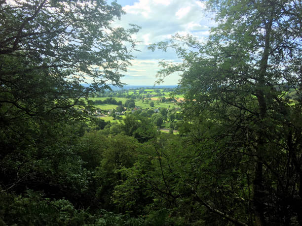 istock A view of Bickerton Hills 1281495293