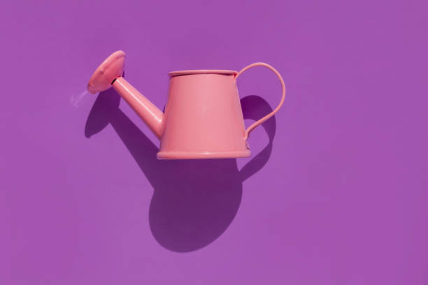 istock Pink watering can pastel background flat lay with shadows. Creative minimalism pop art composition, greeting card design 1281495732