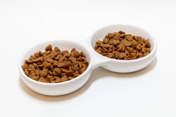 istock cat food in a white bowl on a white background 1281496778