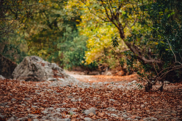 Climate Cause of the River Bed Dries