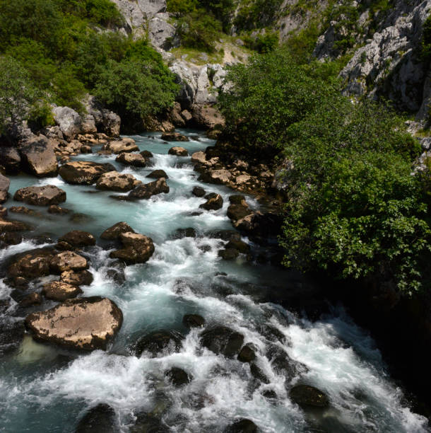 istock Fast mountain stream foams around the black rocks 1281497275