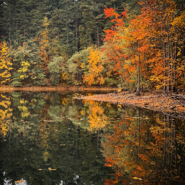 istock Autumn foliage reflected in a tranquil lake 1281498643