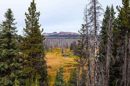 Tweedsmuir Provincial Park in the fall with the colorful Rainbow Range in the distance.