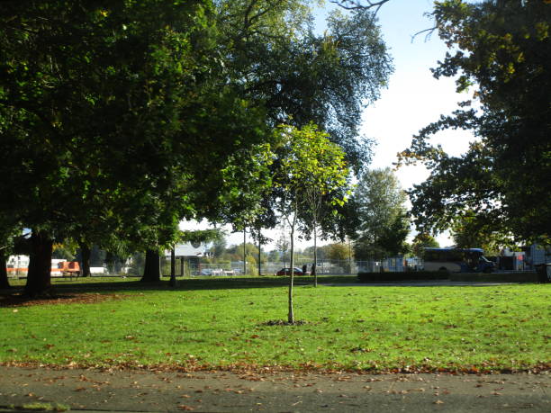 istock Trees and Park in Downtown Vancouver in Mid-October 2020 1281500087