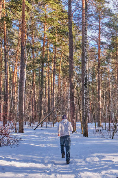 A man in a light sweatshirt, blue jeans and a knitted hat runs on a snowy road in a mixed forest on a sunny day.