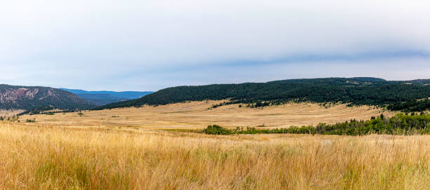istock Chilcotin Plateau, British Columbia, Canada 1281500225
