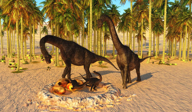 istock Dinosaur Baby Nest 1281503014