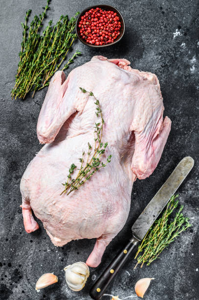 istock Raw free range goose with spices ready to cook. dark background. Top view 1281503404