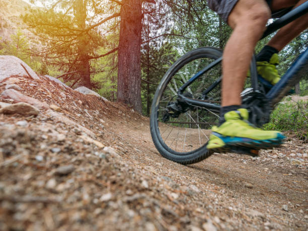istock Mountain biker on flow trail, Switzerland 1281504196